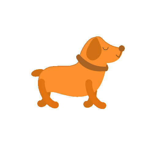 Loading Pupify...